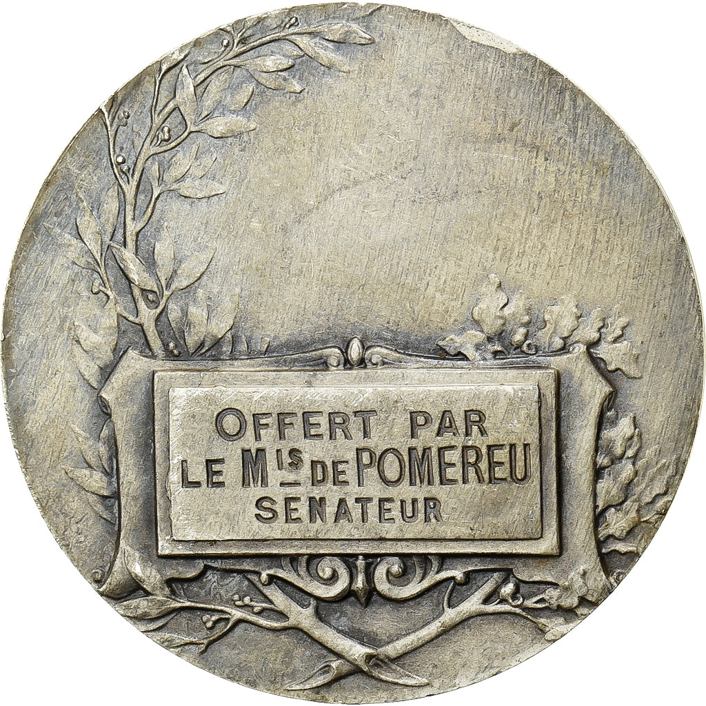 Francia, medalla, Taureau, Bronce plateado, Charles, MBC+