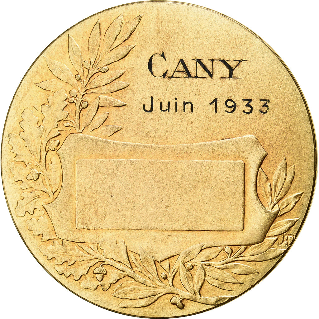 Francia, medaglia, Offerte par M. Roquigny, Conseiller Général, 1933, Bronzo