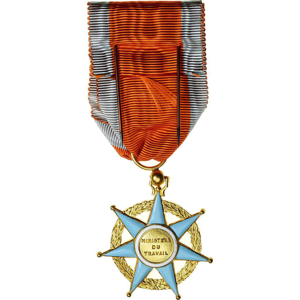 Francja, Mérite Social, Ministère du Travail, Officier, medal, Stan menniczy