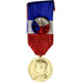 France, Honneur et Travail, Ministère des Affaires Sociales, Medal, 1973