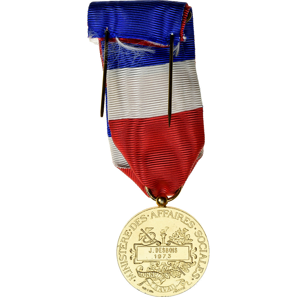 France, Honneur et Travail, Ministère des Affaires Sociales, Medal, 1973