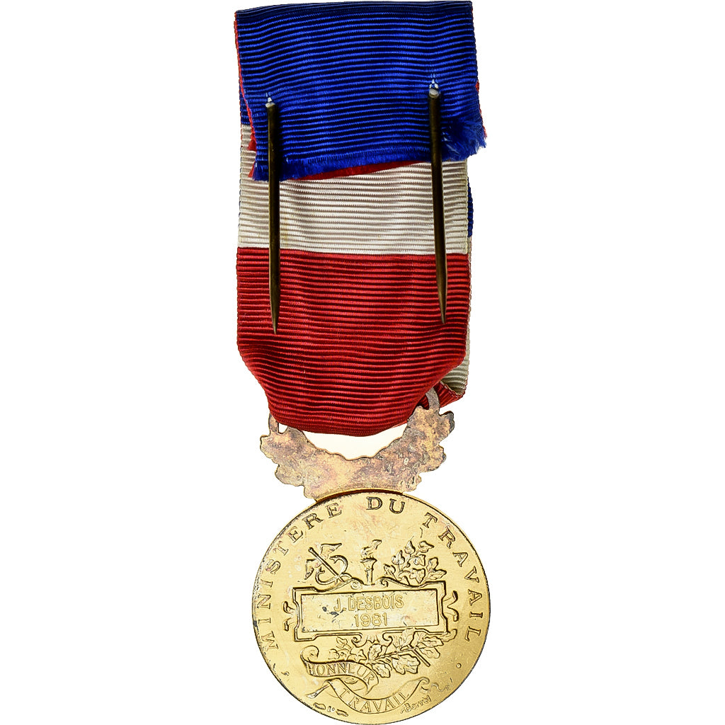 France, Médaille d'honneur du travail, Medal, 1981, Excellent Quality, Borrel
