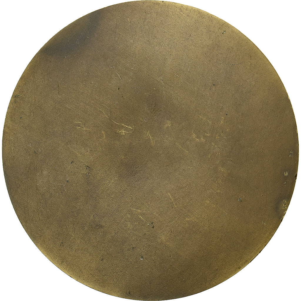 Francia, medaglia, Victor Hugo, Bronzo, SPL-