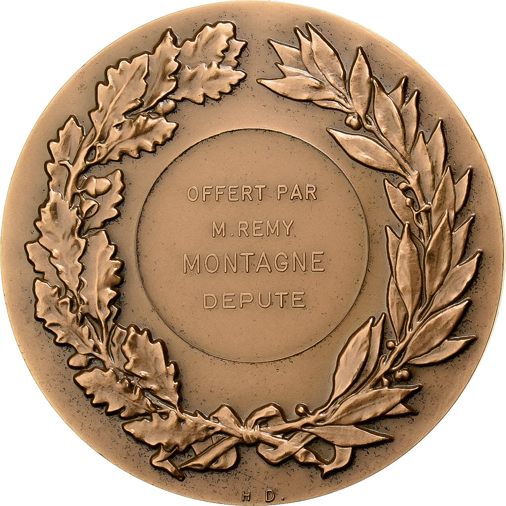 Francia, medaglia, Offert par M.Remy, Montagne, Député, 1975, Bronzo, Coeffin