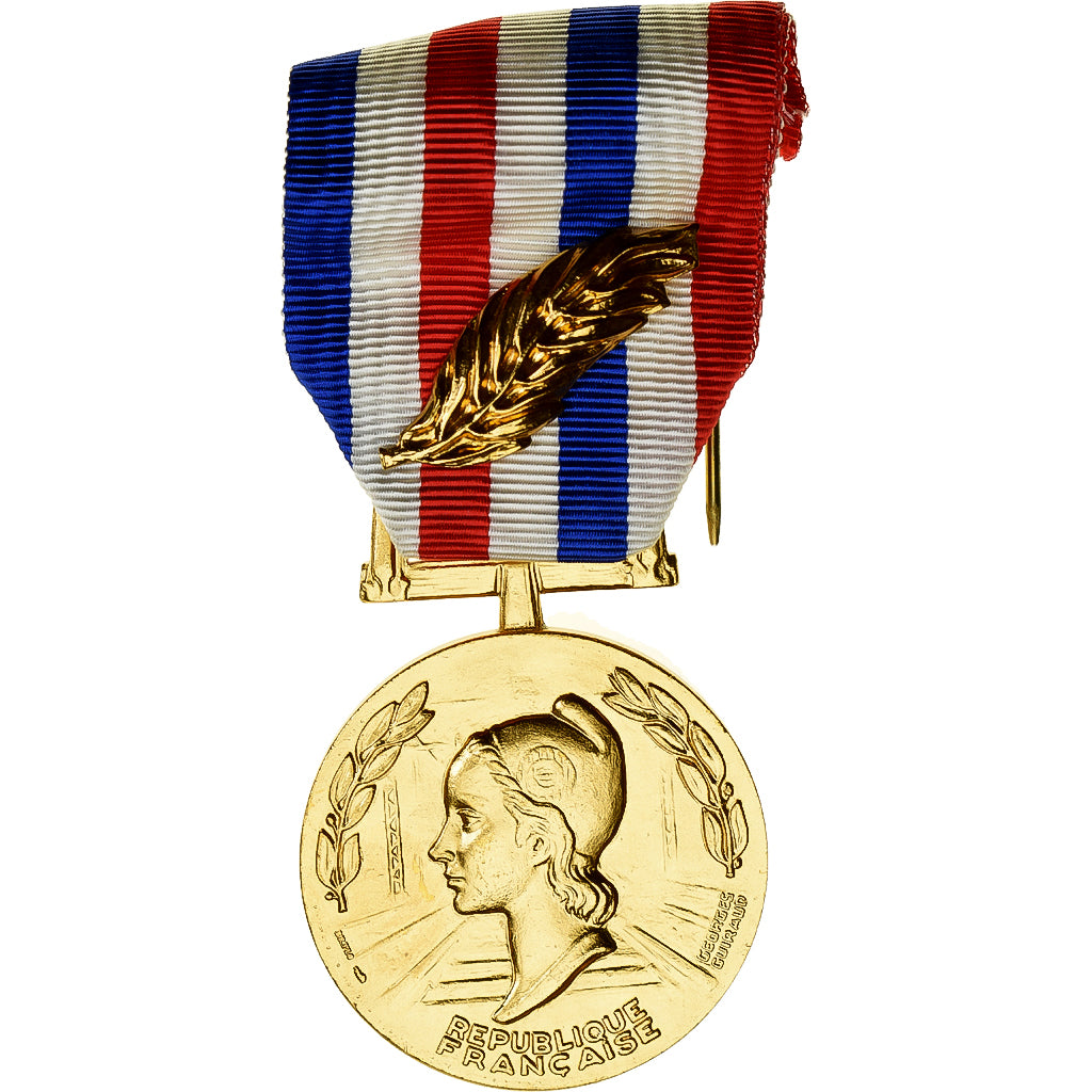 Frankreich, Honneur des Chemins de Fer, Railway, Medaille, 1996, Palme