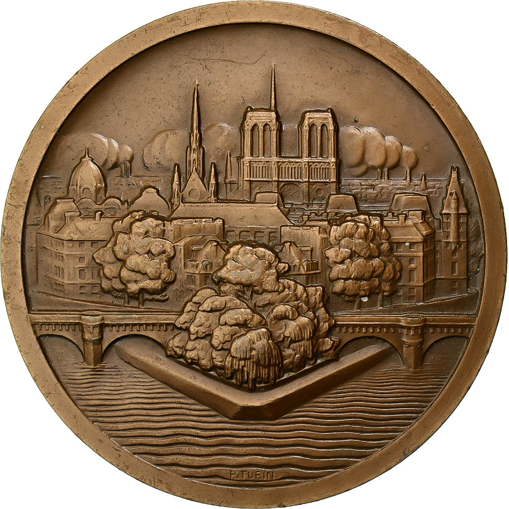 Francia, medaglia, Ile de la Cité, Notre Dame, Paris, Bronzo, Turin, SPL-
