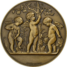 Francia, medaglia, Prix d'Horticulture, Bronzo, Alphée Dubois, SPL-