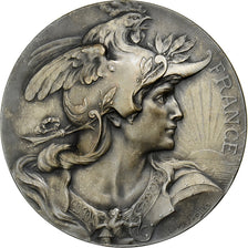 France, Medal, Offert par M. Lavoine, Sénateur, Silvered bronze, Bottée