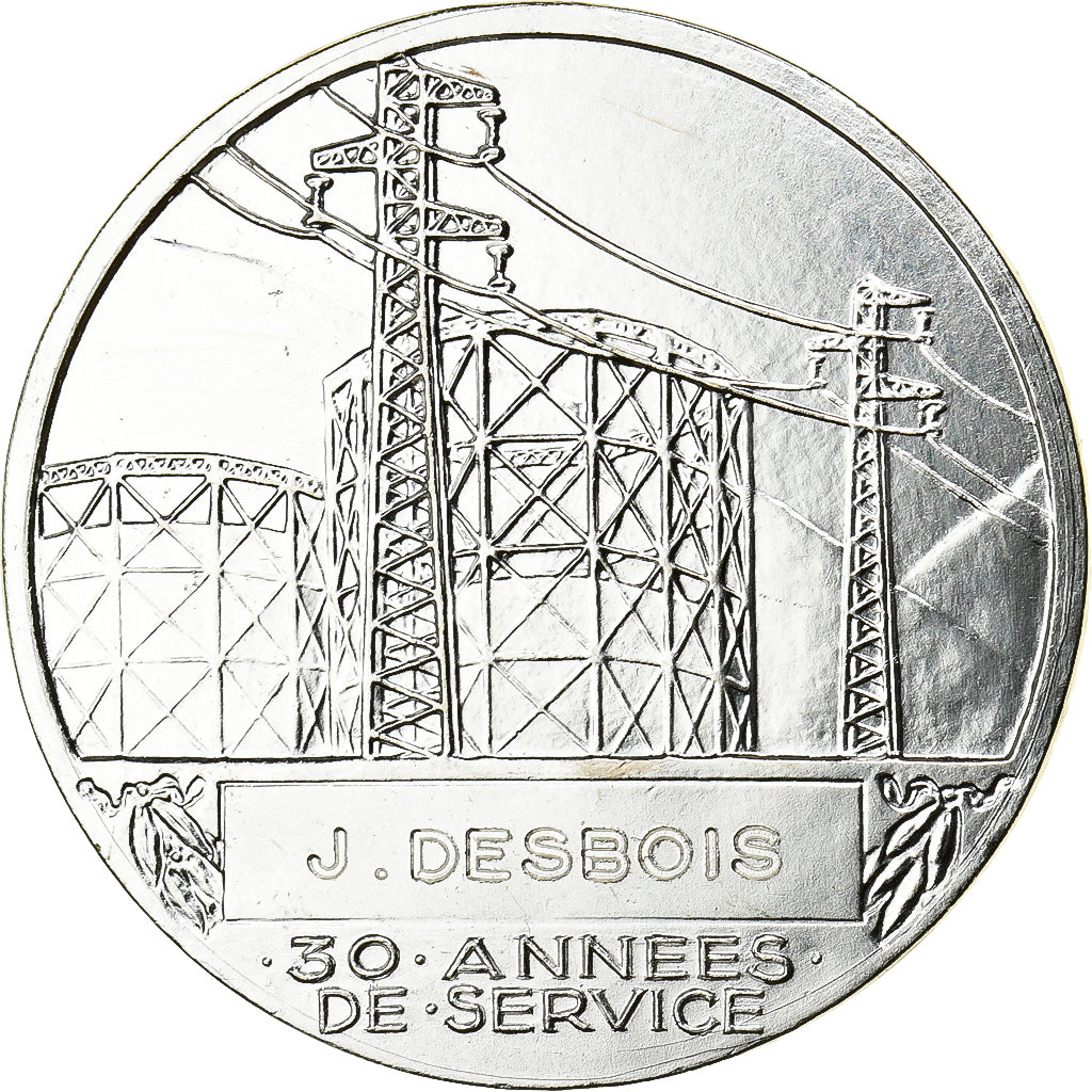 Frankrijk, Medaille, Électricité de France et gaz de France, Silvered bronze