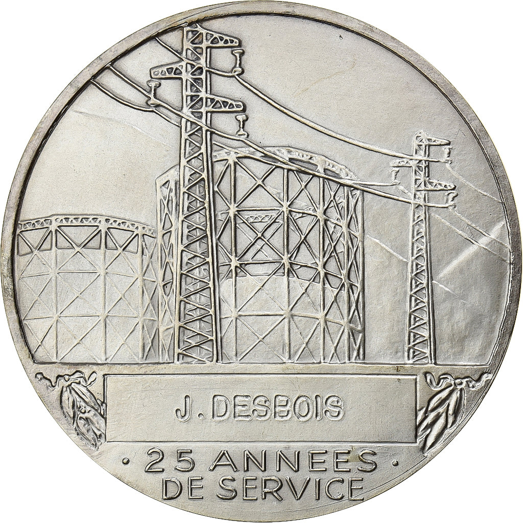 Frankrijk, Medaille, Électricité de France et gaz de France, Silvered bronze