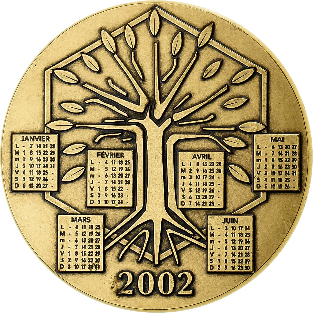 Francia, medaglia, Calendrier, Nouvelle Année, Arbre, 2002, Bronzo, MDP, SPL-