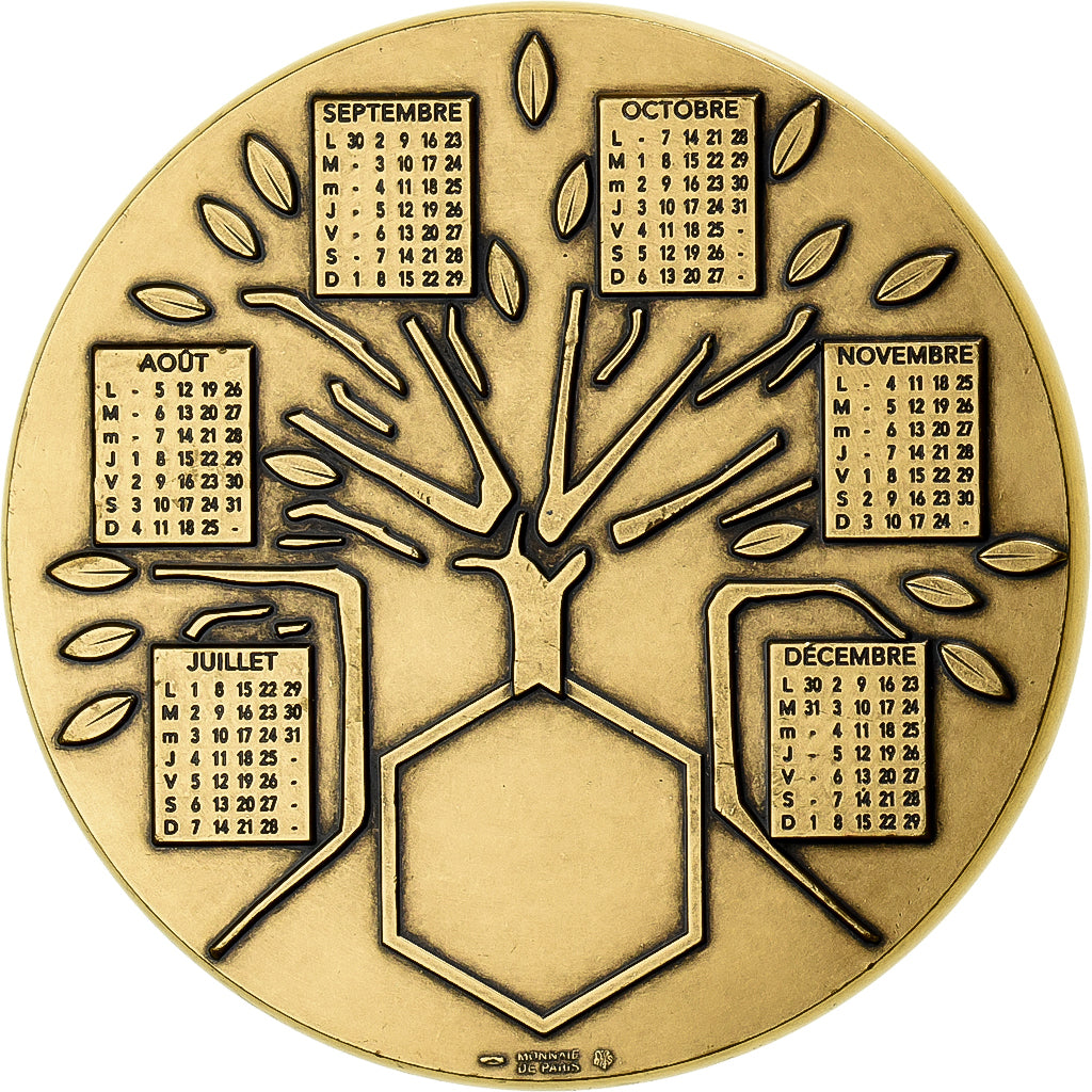 Francia, medaglia, Calendrier, Nouvelle Année, Arbre, 2002, Bronzo, MDP, SPL-