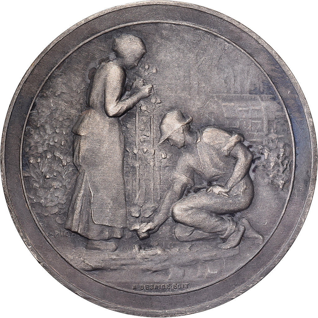Francia, medalla, Horticulture, Jardins, Bronce plateado, Desaide, SC