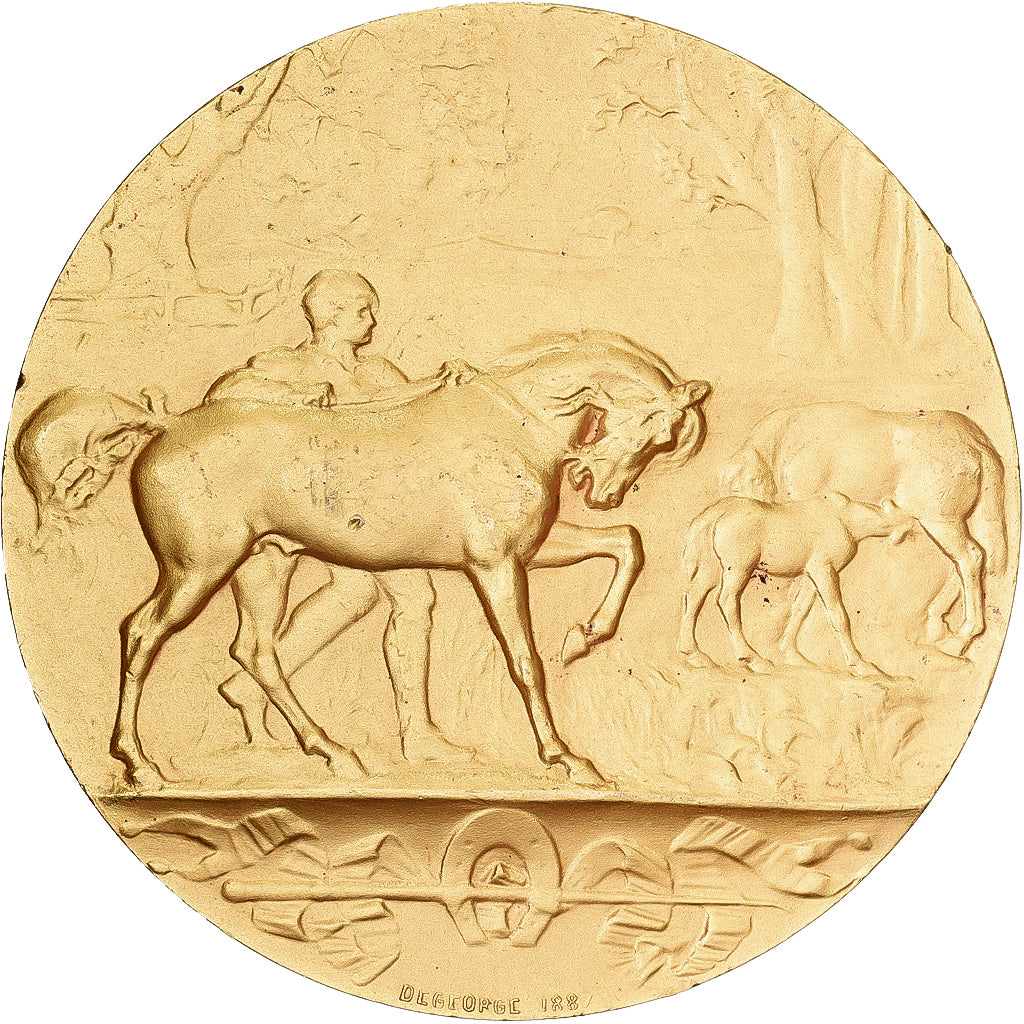 Francia, medalla, Chevaux, Offert pat Louis Quesnel, Député, 1934, Bronce
