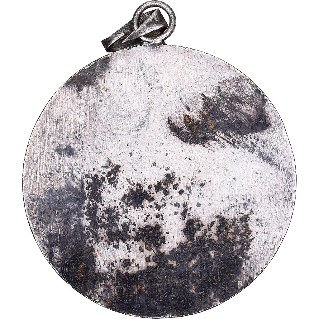 Francja, medal, Napoléon Ier, Brąz posrebrzany, VF(30-35)