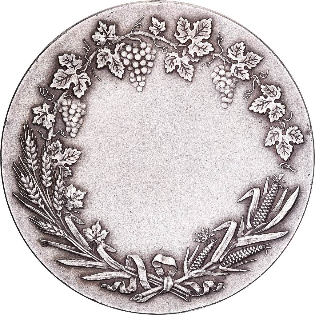 France, Medal, Société Nationale d'encouragement à l'agriculture, Silver