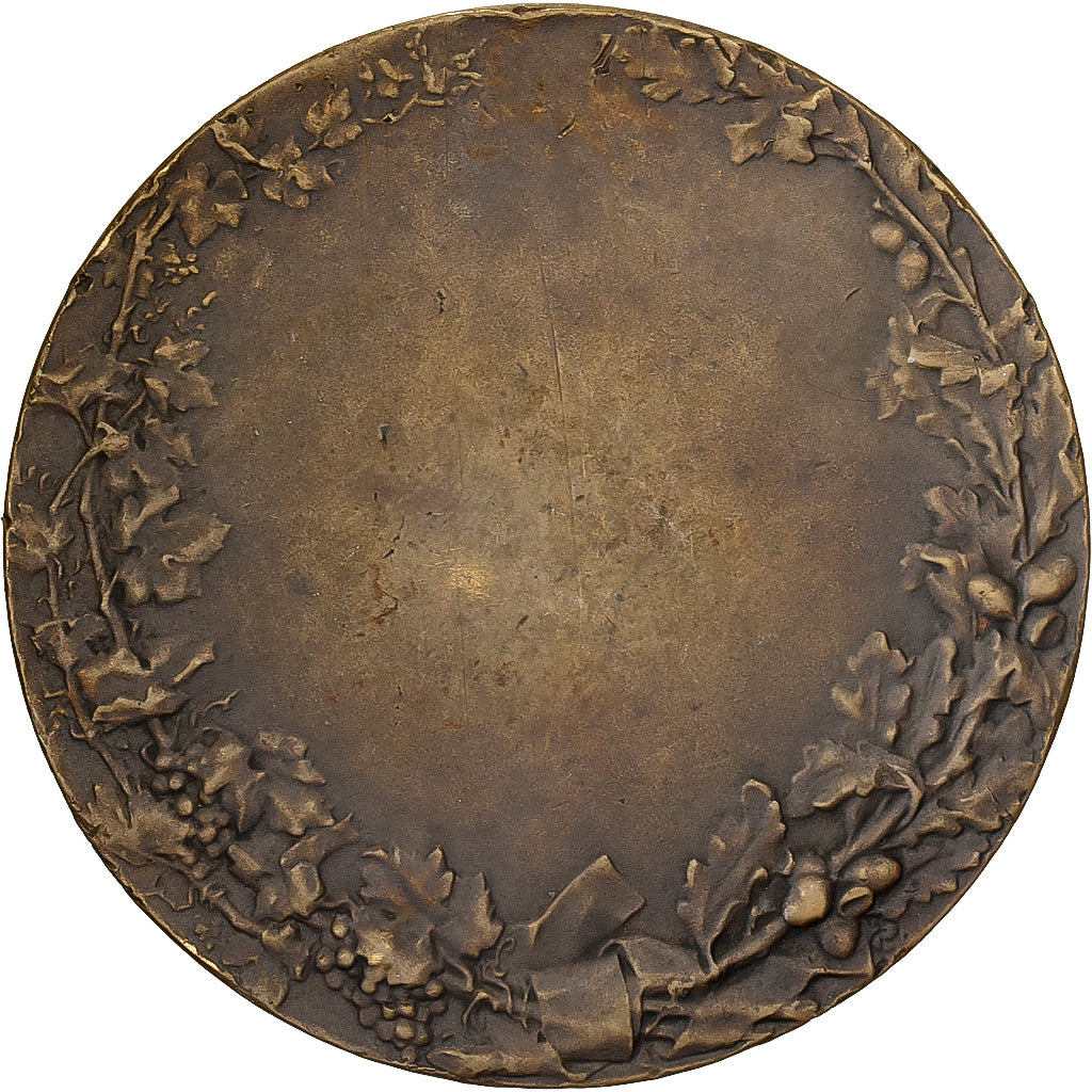 France, Medal, Société des agriculteurs de France, Bronze, Pillet, EF(40-45)