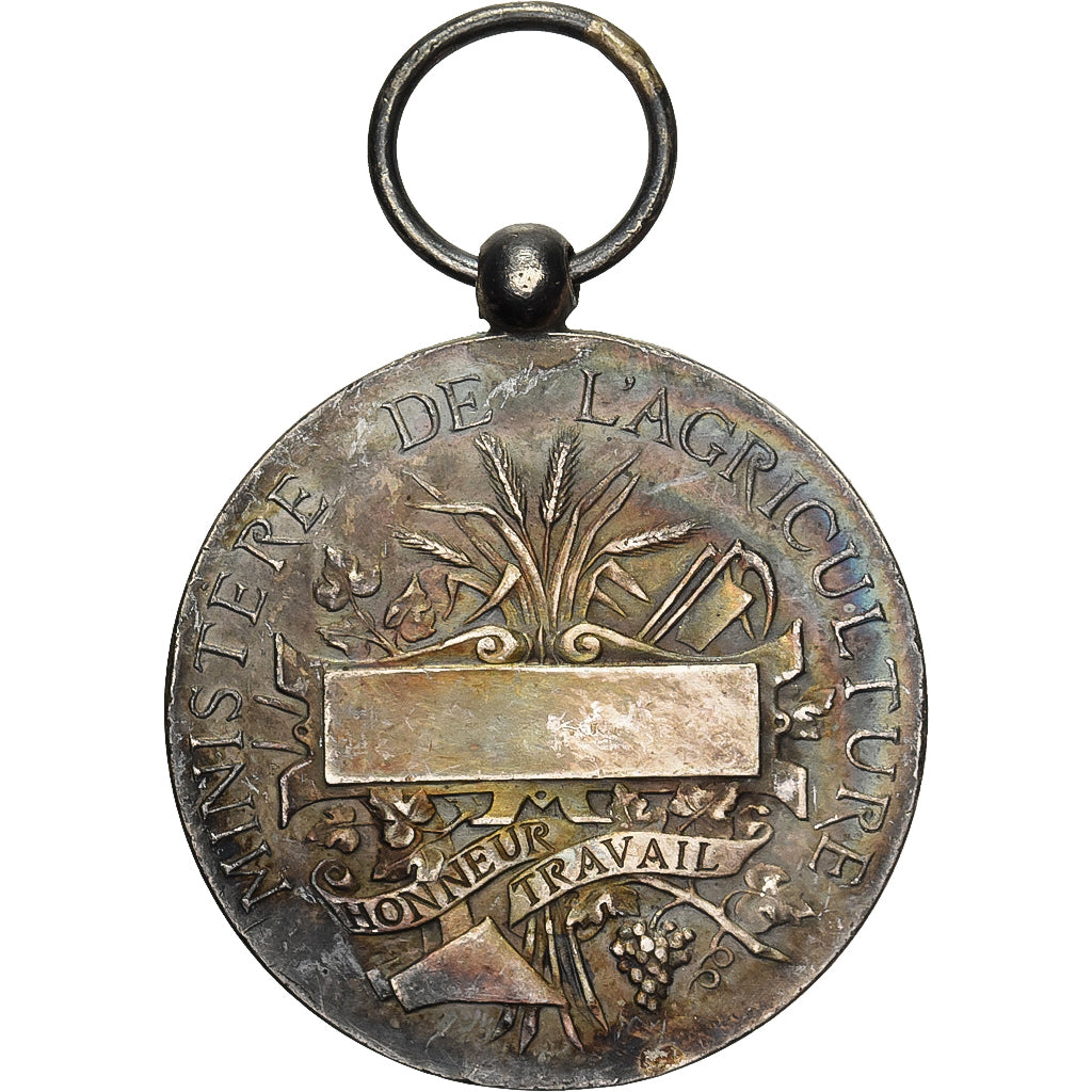 France, Ministère de l'Agriculture, Honneur et Travail, Medal, Very Good