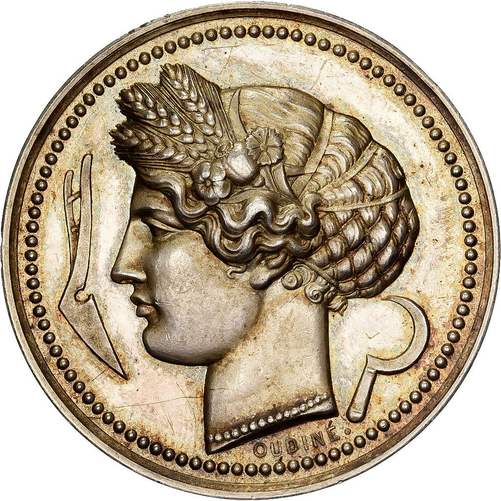 Francia, medaglia, Comice Agricole de Chinon, Argento, Oudiné, SPL-