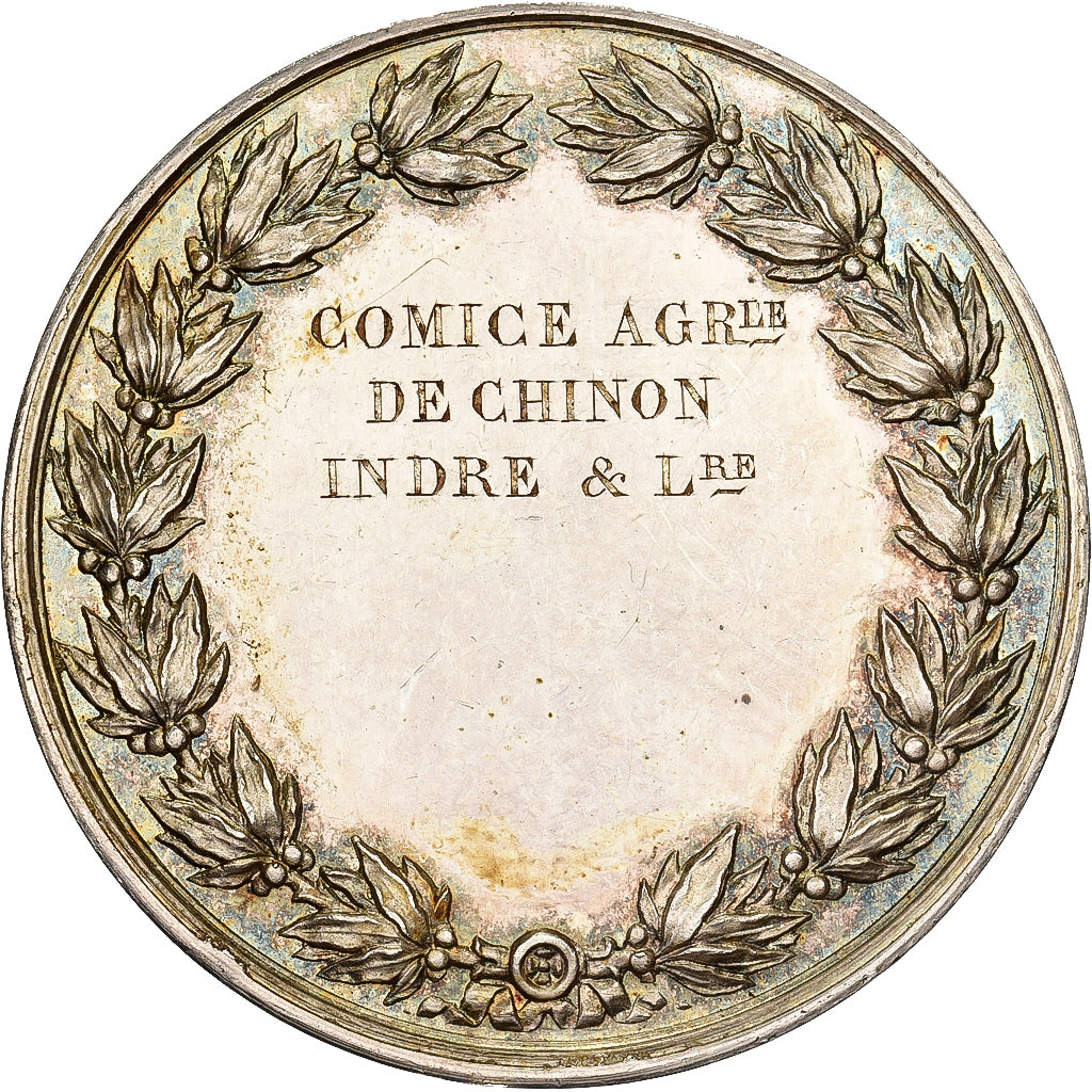 Francia, medaglia, Comice Agricole de Chinon, Argento, Oudiné, SPL-