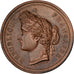 France, Médaille, Comité d'Agriculture de Semur, 1888, Cuivre, SUP, Desaide