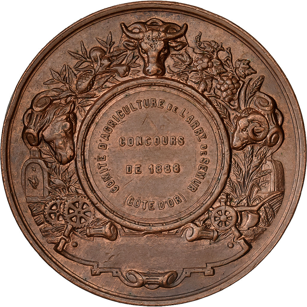 France, Médaille, Comité d'Agriculture de Semur, 1888, Cuivre, SUP, Desaide