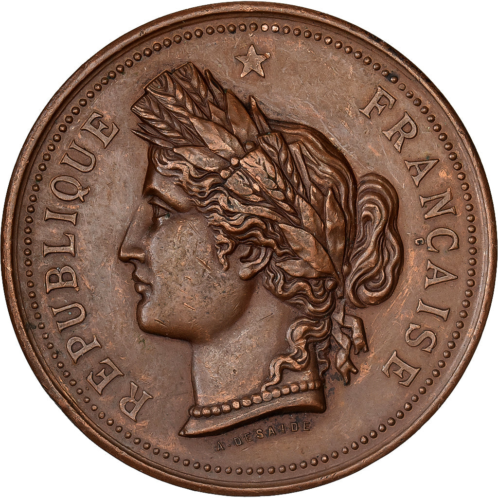 France, Medal, Comité d'Agriculture de Semur, 1884, Copper, Desaide, AU(50-53)