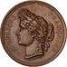 France, Medal, Comité d'Agriculture de Semur, 1884, Copper, Desaide, AU(50-53)