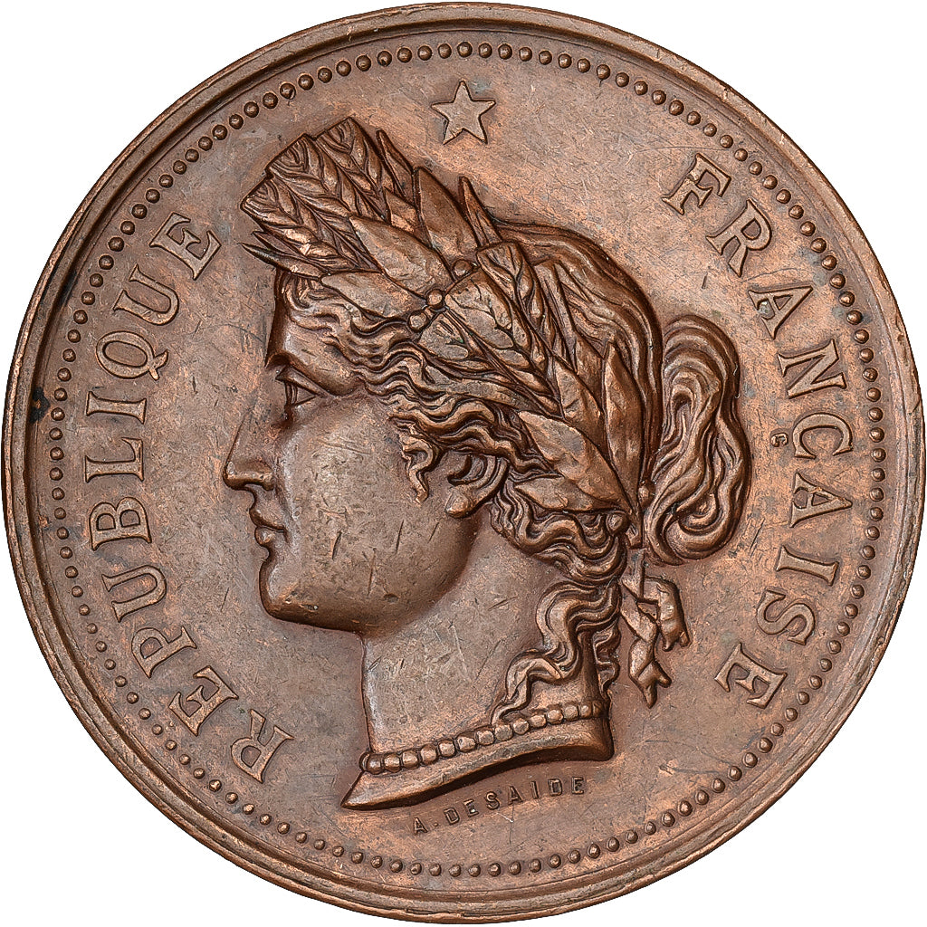 France, Medal, Comité d'Agriculture de Semur, 1885, Copper, Desaide, AU(50-53)