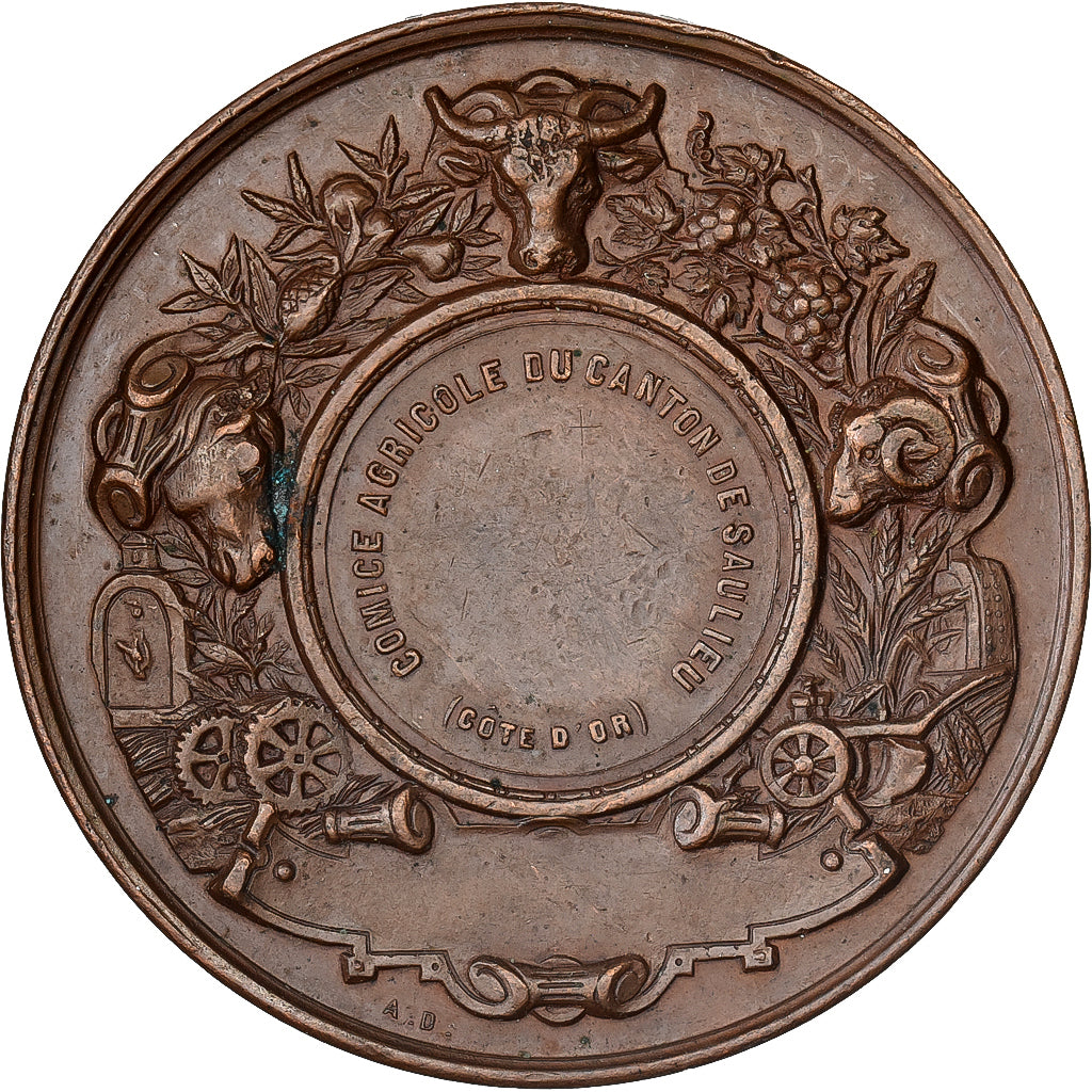 Frankreich, Medaille, Olivier de Serres, Comice Agricole de Saulieu, Kupfer