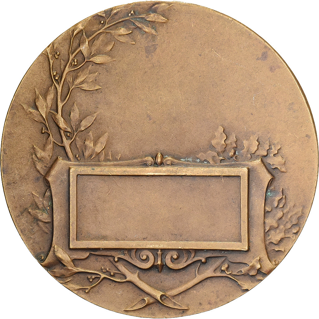 France, Medal, Ministère de la Guerre, Communications aériennes, Bronze