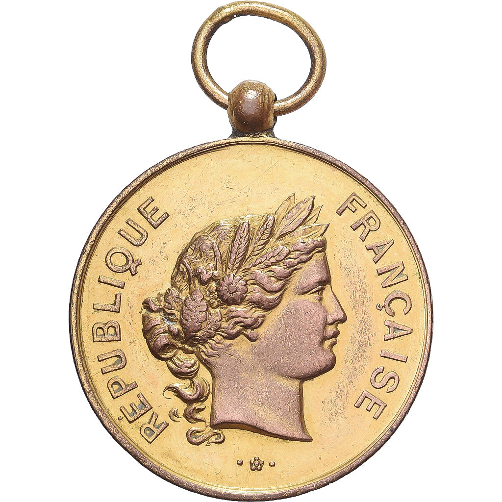 Francia, medaglia, Marianne, République Française, Rame dorato, Robineau, BB+