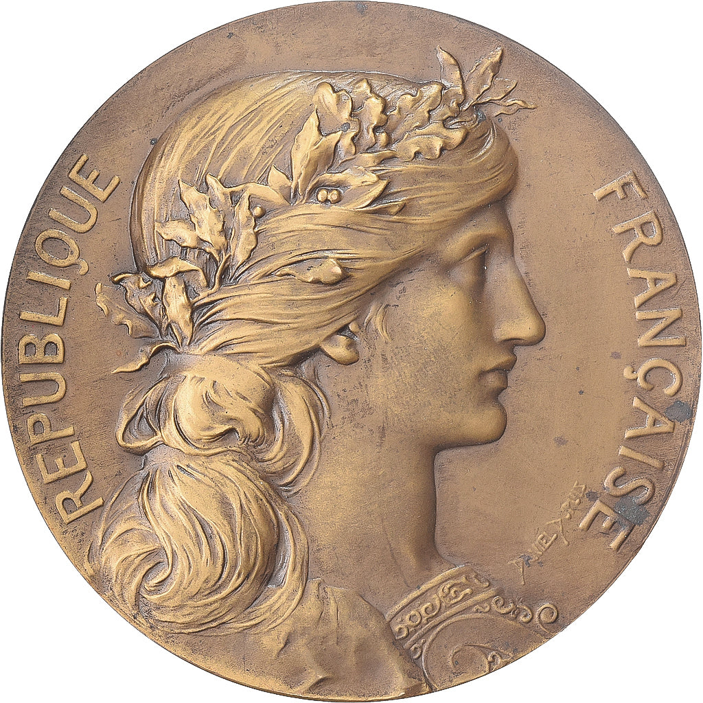Frankrijk, Medaille, Office Nationale des Pupilles de la Nation, Bronzen
