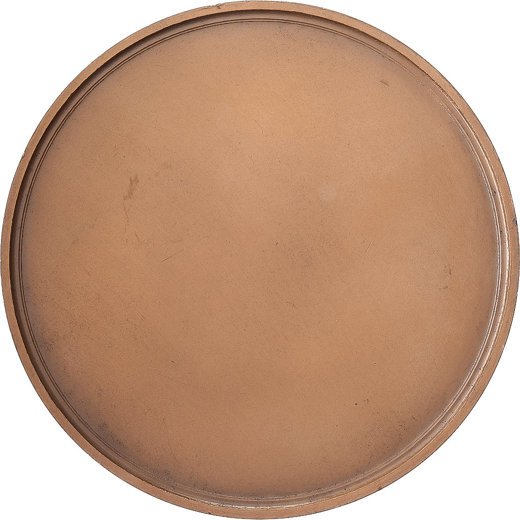 Frankrijk, Medaille, Ville de Mulhouse, Bronzen, UNC-