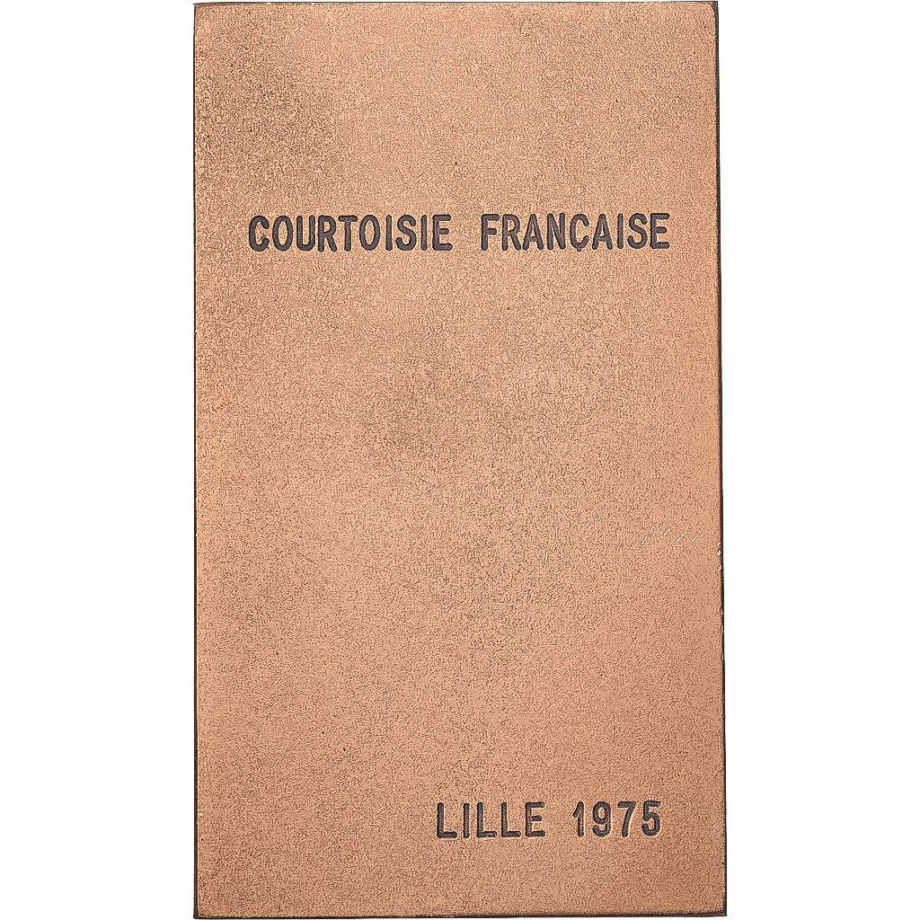 France, Medal, La Flandre, 1975, Bronze, Delamarre, AU(55-58)
