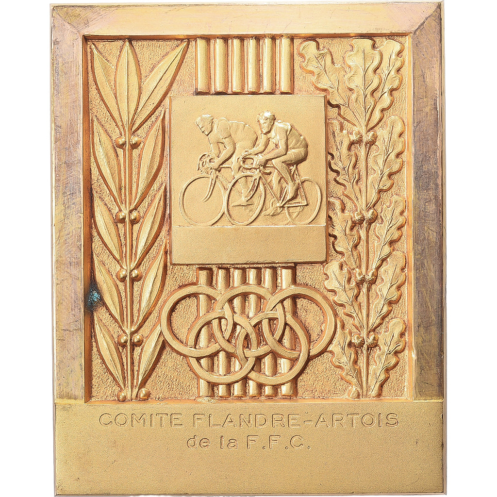 Francja, medal, Cyclisme, Comité Flandre-Artois, 1976, Pokryty brązem, Pierre