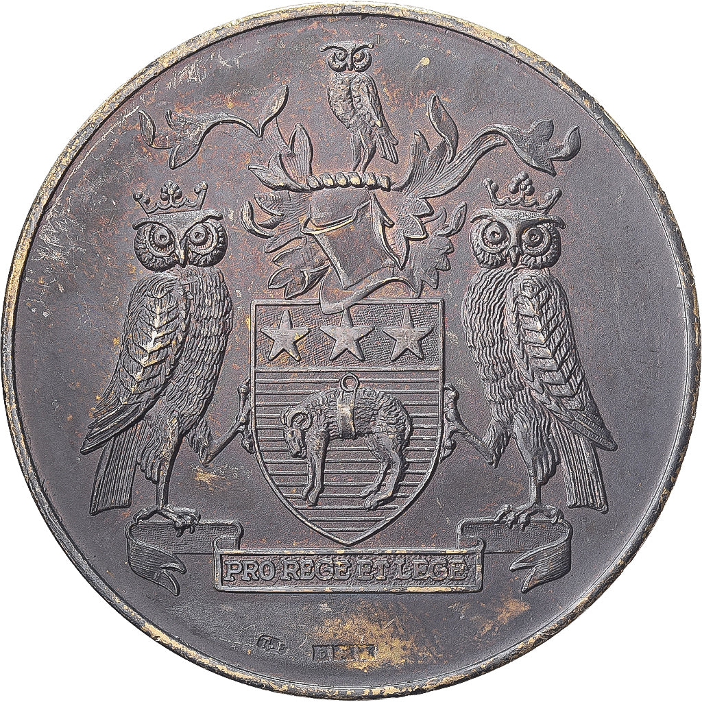 United Kingdom, Medal, City of Leeds, Silvered bronze, EF(40-45)
