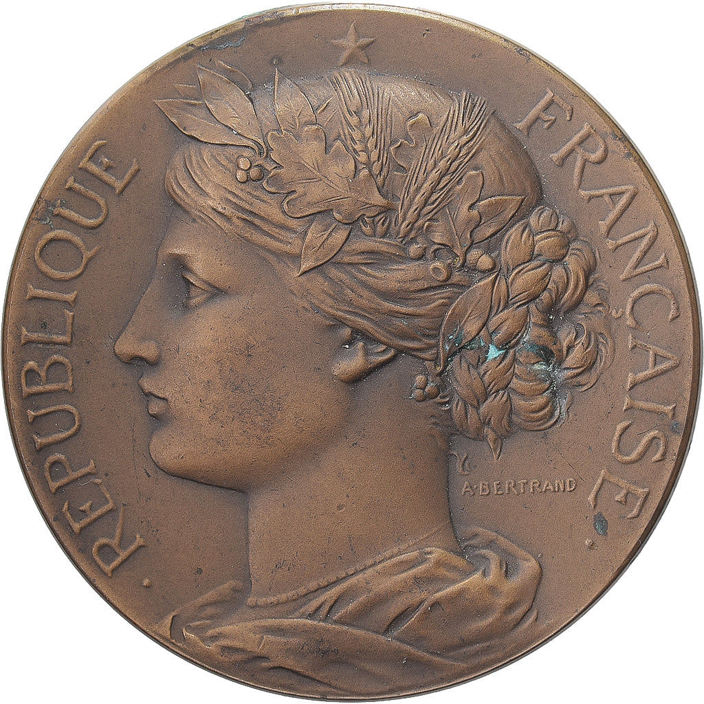 Francia, medaglia, Comice agricole de Bergues, Bronzo, Arthus Bertrand, BB