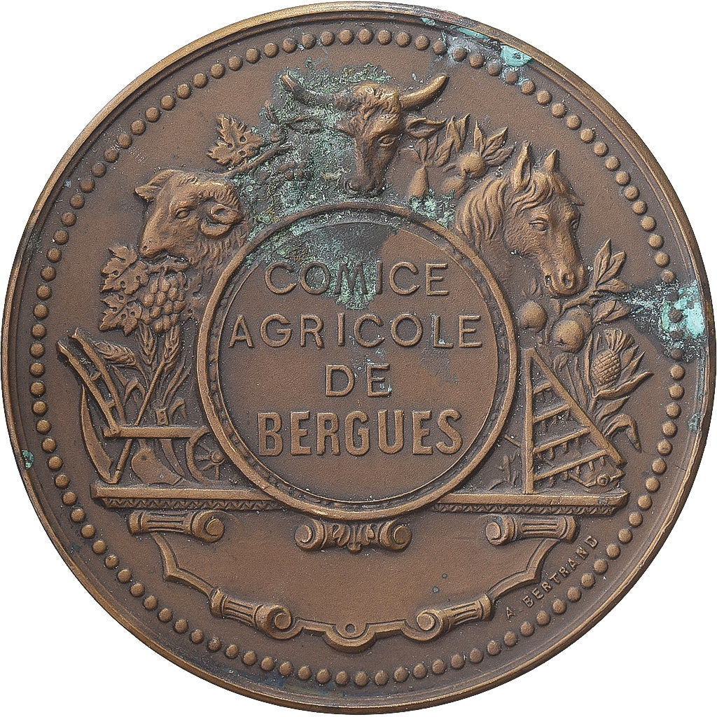 Francia, medaglia, Comice agricole de Bergues, Bronzo, Arthus Bertrand, BB