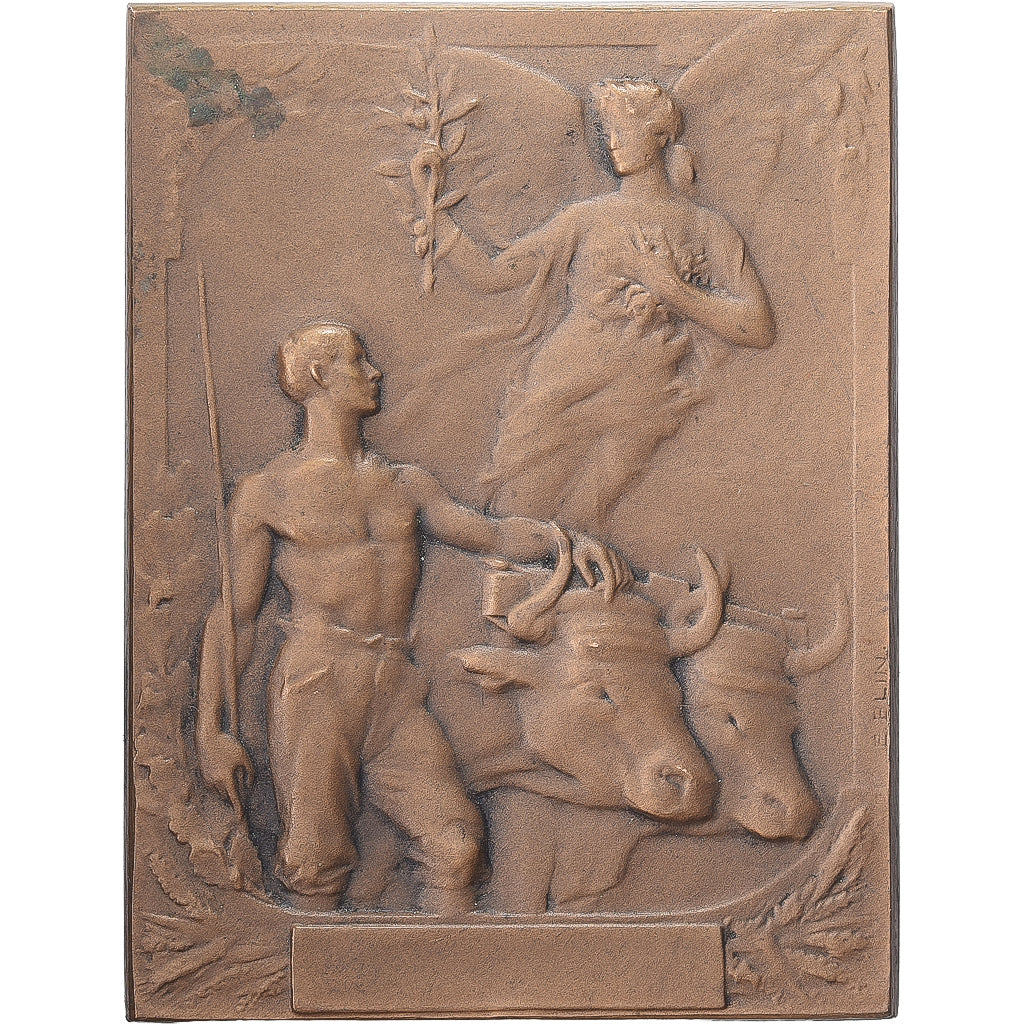 Francia, medaglia, Concours, Race Flamande, Béthune, Bronzo, Blin, SPL-