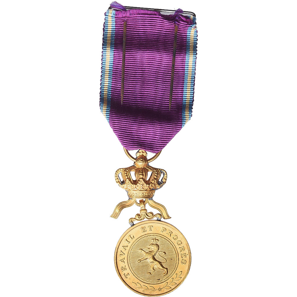Belgien, Travail et Progrès, Medaille, Very Good Quality, Gilt Bronze, 31