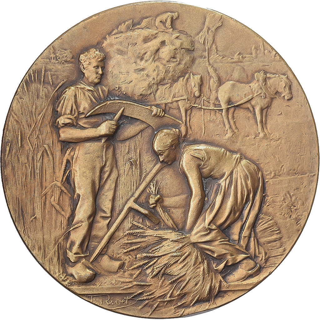 Francja, medal, Société des Agriculteurs de la Somme, Brązowy, Rivet
