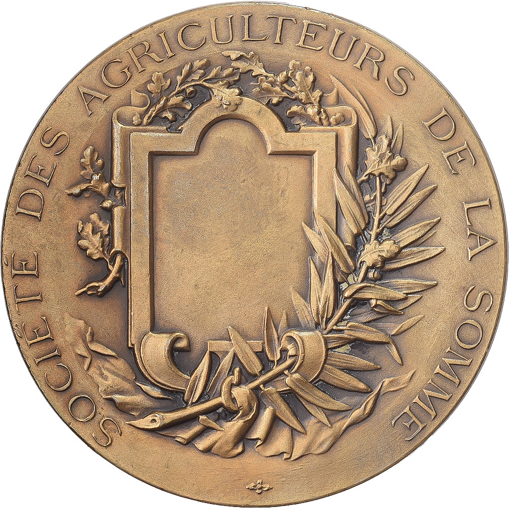Francja, medal, Société des Agriculteurs de la Somme, Brązowy, Rivet