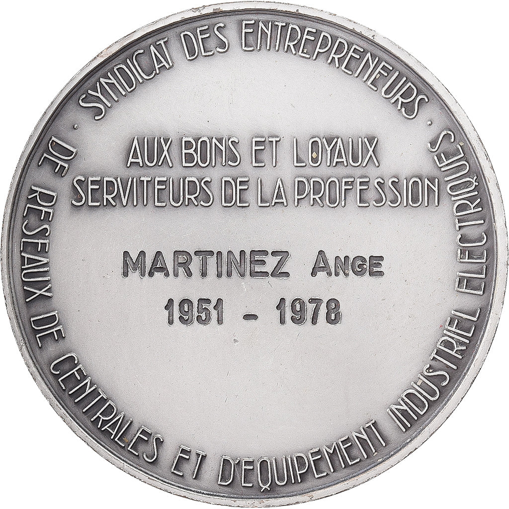 Francia, medaglia, SERCE, Syndicat des Entrepreneurs de Réseaux de Centrales