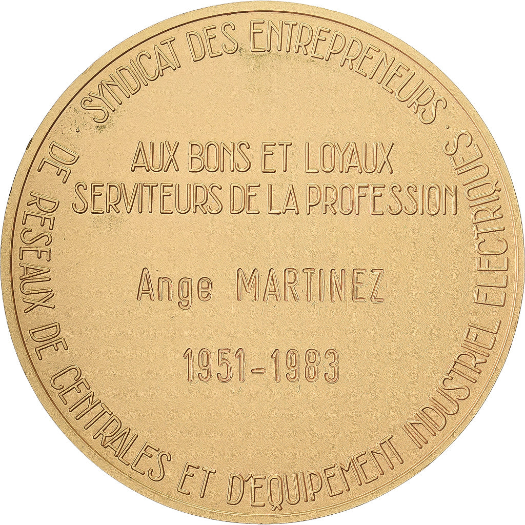 France, Médaille, SERCE, Syndicat des Entrepreneurs de Réseaux de Centrales