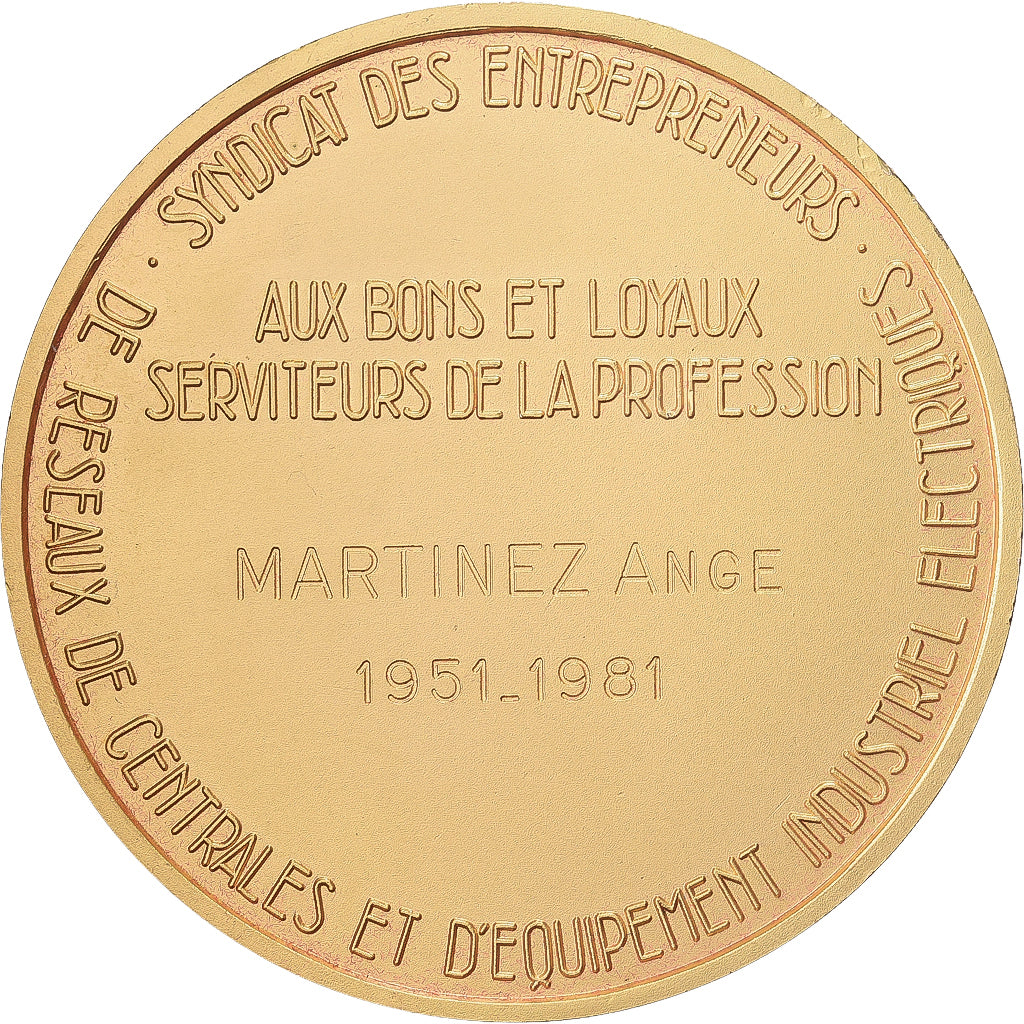 Francja, medal, SERCE, Syndicat des Entrepreneurs de Réseaux de Centrales