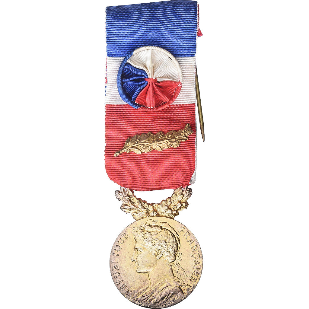 France, Honneur-Travail, République Française, Medal, 1985, Palme, Excellent