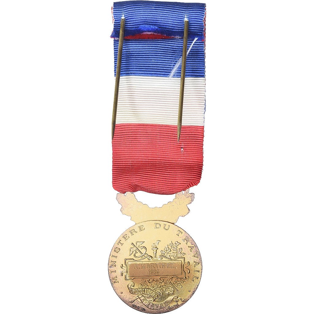 France, Honneur-Travail, République Française, Medal, 1985, Palme, Excellent
