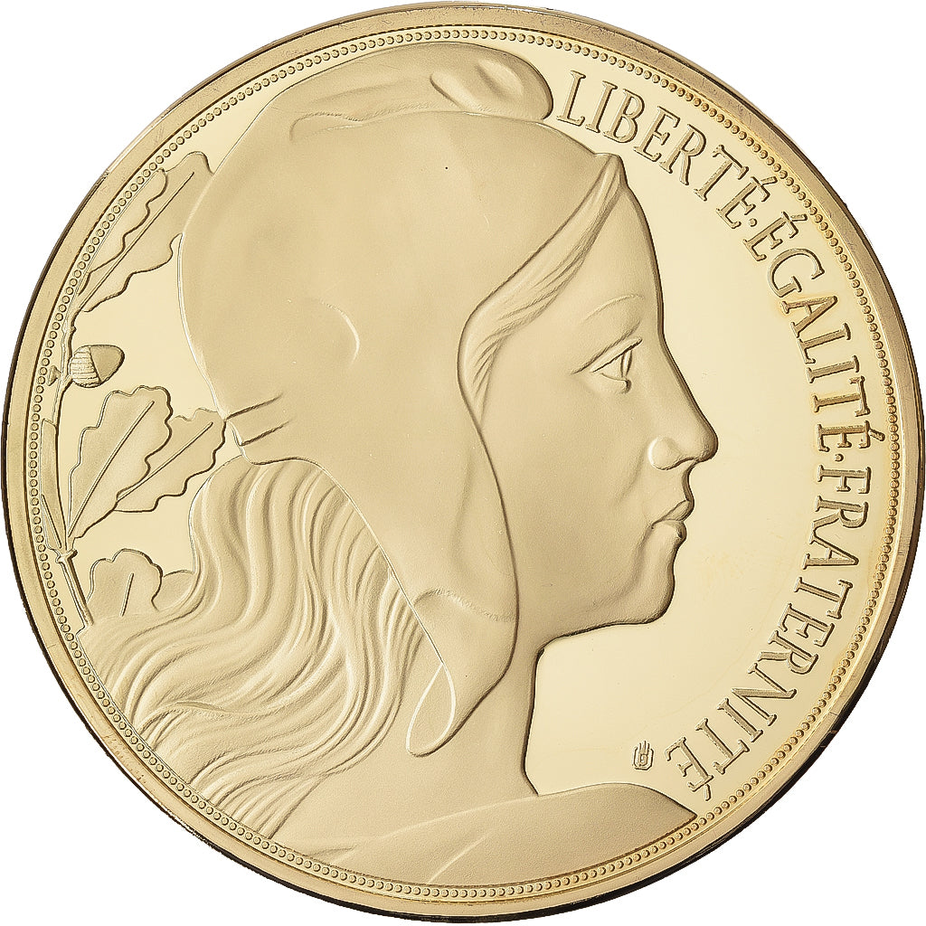 Francia, medalla, Marianne, Liberté Egalité Fraternité, 2015, Copper Gilt