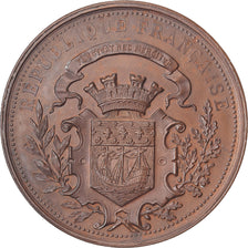 Frankrijk, Medaille, Assistance publique, Quête pour les pauvres, 1892, Koper